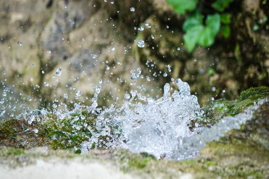 Agriturismo Montelovesco Brunetta Zewnętrze zdjęcie