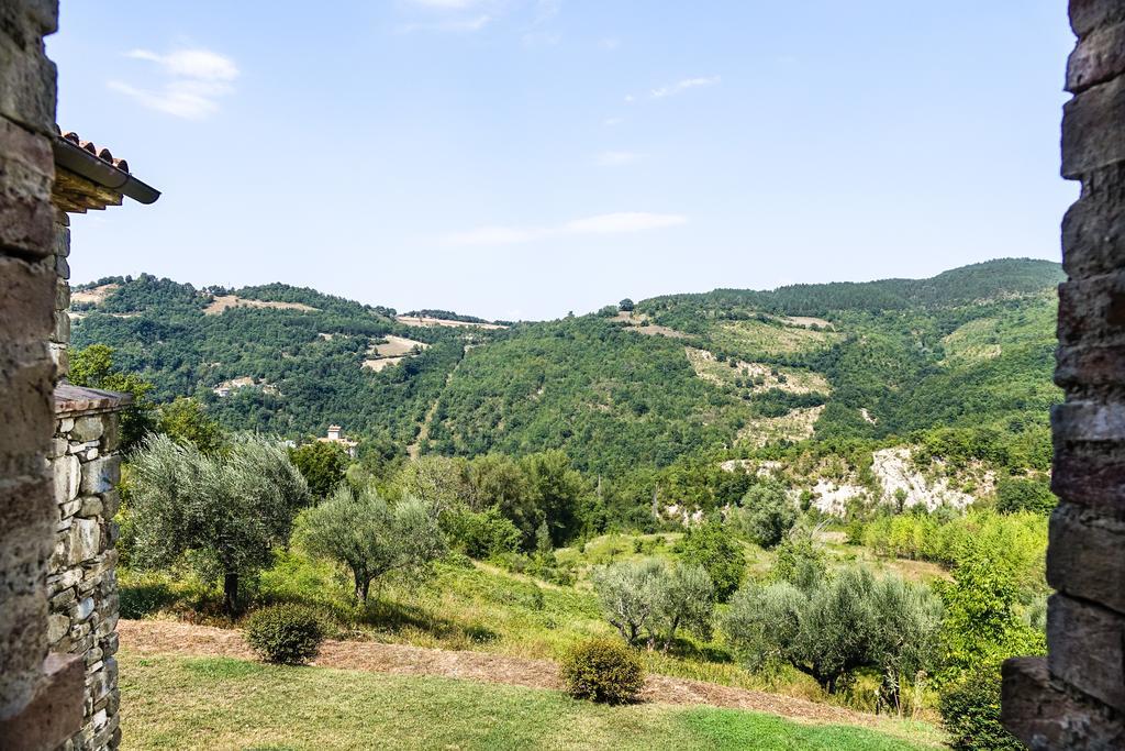 Agriturismo Montelovesco Brunetta Pokój zdjęcie