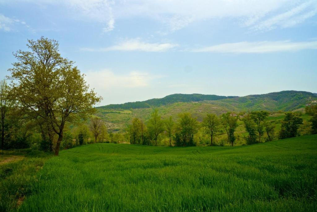 Agriturismo Montelovesco Brunetta Zewnętrze zdjęcie